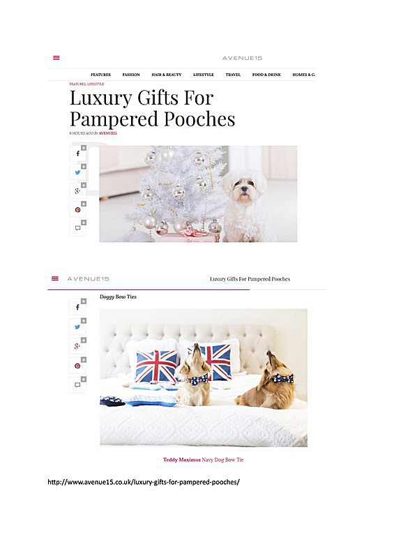 'avenue15' magasine media coverage 2015 - CHRISTMAS SHOPPING  AT TEDDY MAXIMUS - As seen in Dec 2015 'Vogue Magazine'