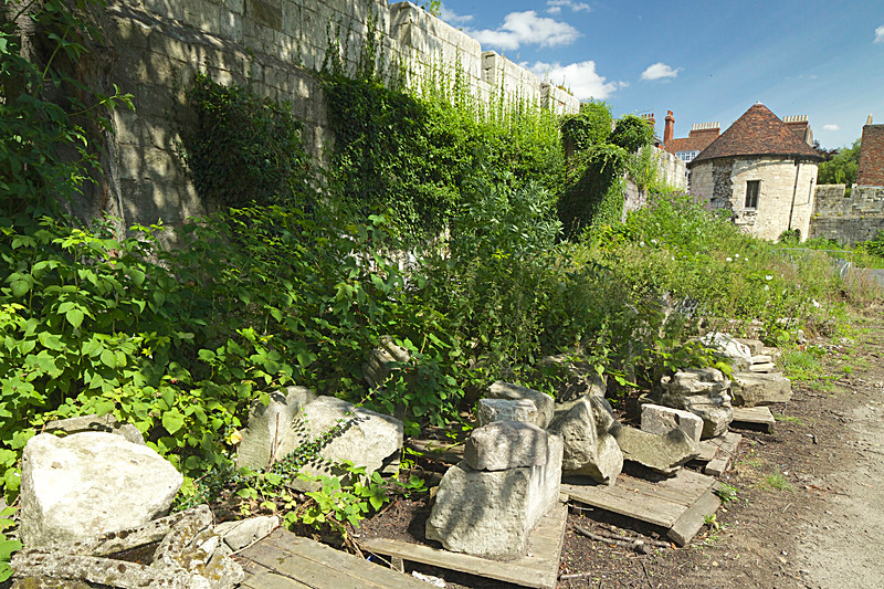 JULY 2014  -32 - FOUR SEASONS MUSEUM GARDENS