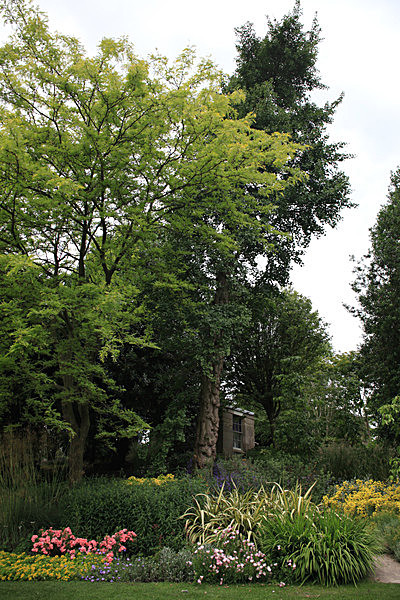 IMG_7527_2 - MUSEUM GARDENS