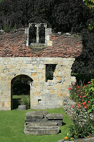 IMGL5973_2 - MUSEUM GARDENS