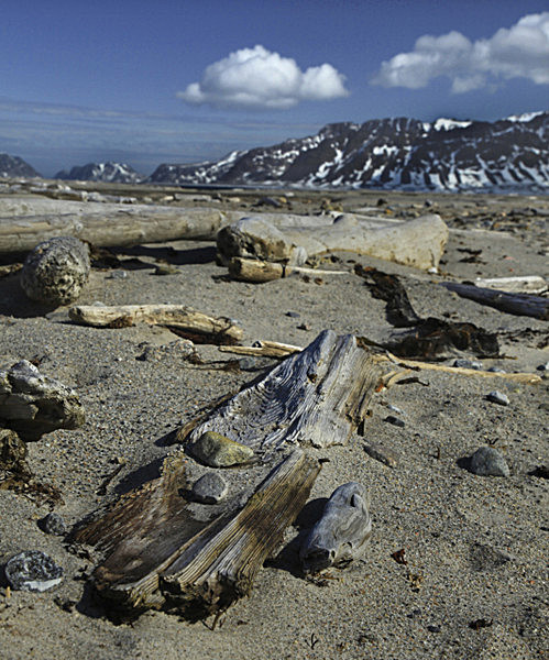 IMG_9661 - SVALBARD 2013