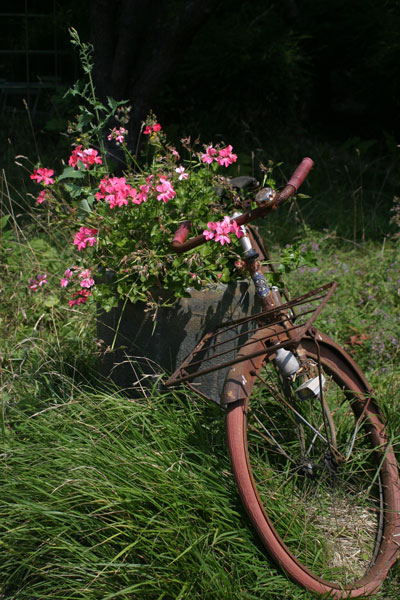 2 On your bike - FLOWERS