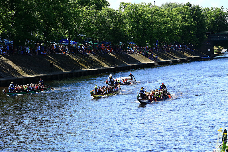 BV6R4449 - DRAGON BOAT RACE 2017
