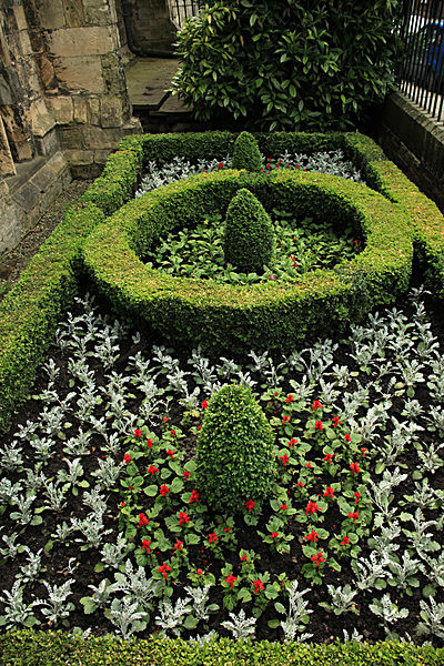 IMG_7549_2 - MUSEUM GARDENS