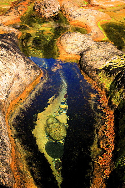 20100826_0191_2 - SCOTLAND 2010