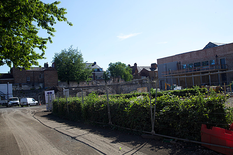 JUNE 2015  - FOUR SEASONS MUSEUM GARDENS
