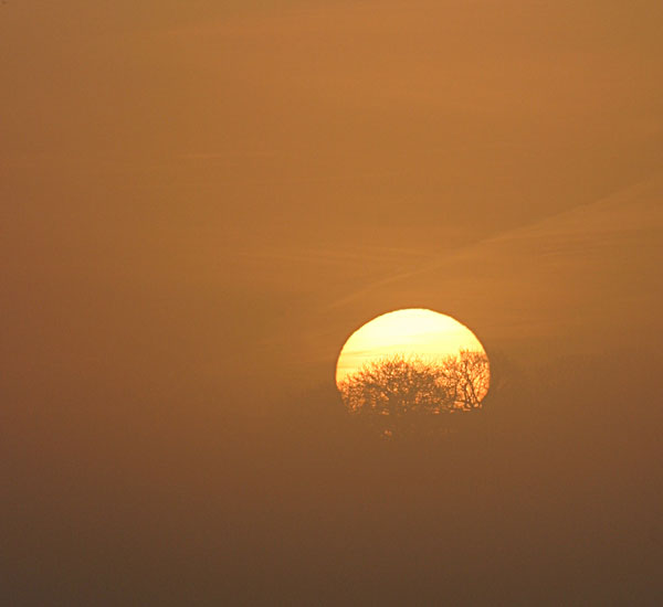 Golden Orb - MORNING ON YORK RACECOURSE