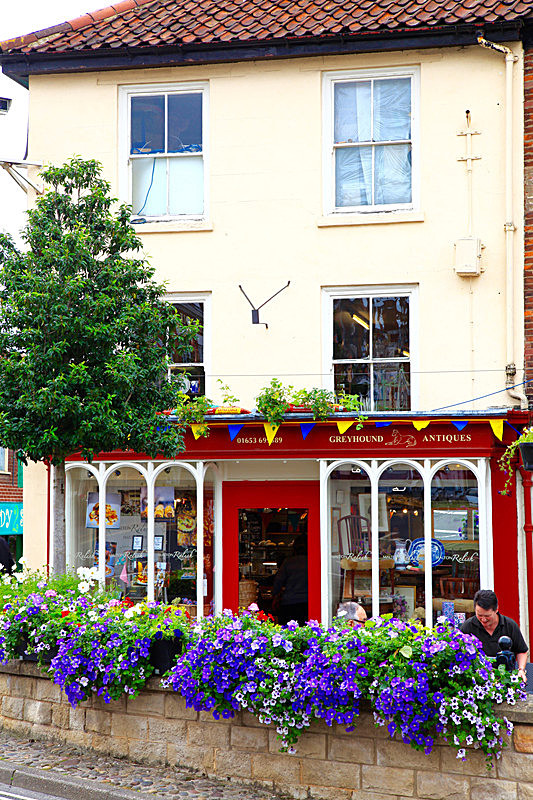 IMG_3327 1 - MALTON IN BLOOM 2017