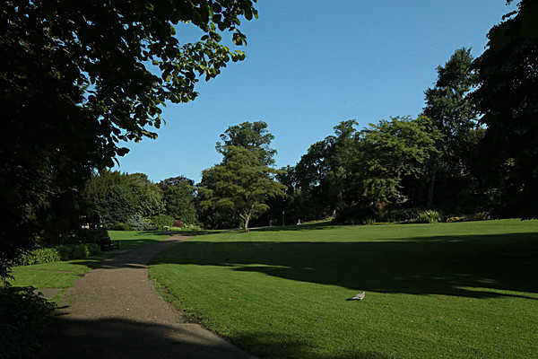 IMGL7672 - MUSEUM GARDENS