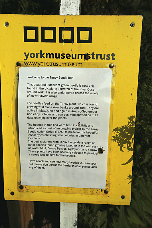 JUNE 2015-12 - FOUR SEASONS MUSEUM GARDENS