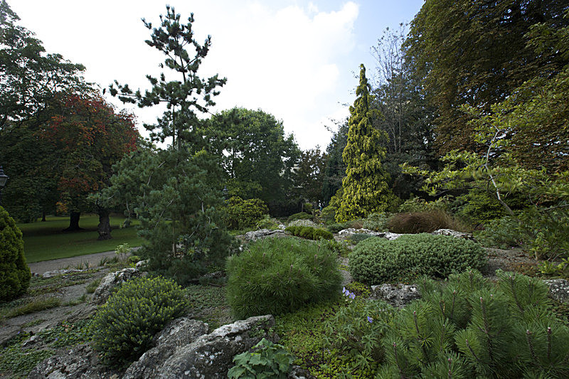 IMGL8934 - SHEET 1 NEW/OLD  MUSEUM GARDENS