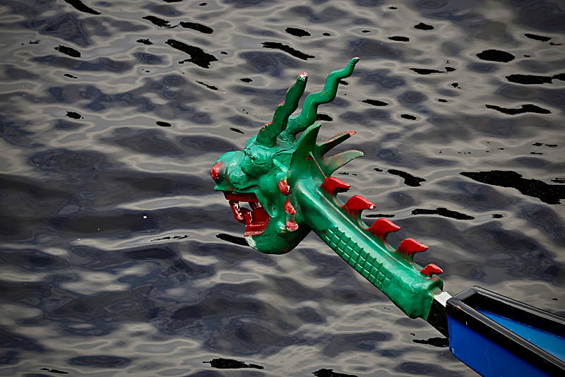 0I9A6960 - DRAGON BOAT RACE 2025