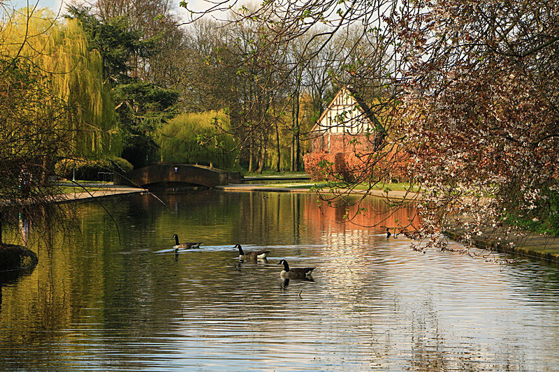 IMG_2909 Rowntrees Park-2 - PORTFOLIO 2015