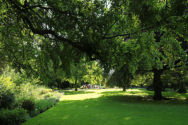 IMGL7752 - MUSEUM GARDENS