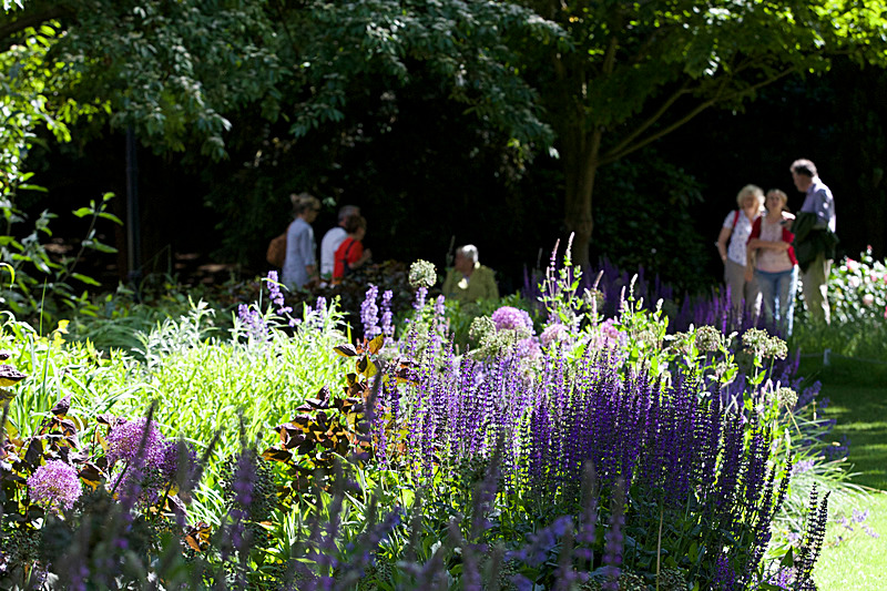 JUNE 2015-34 - FOUR SEASONS MUSEUM GARDENS