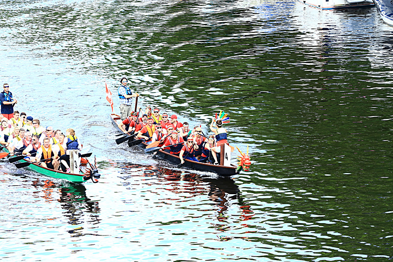 BV6R4347 - DRAGON BOAT RACE 2017