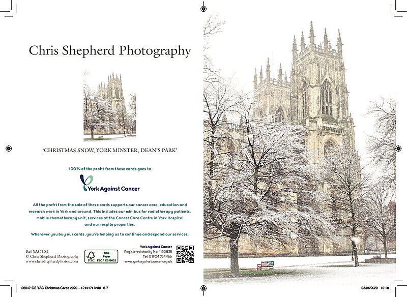 Christmas Snow, York Minster from Dean's Park - YORK AGAINST CANCER CHRISTMAS CARDS 2025