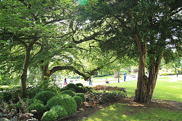 IMG_8277 - MUSEUM GARDENS