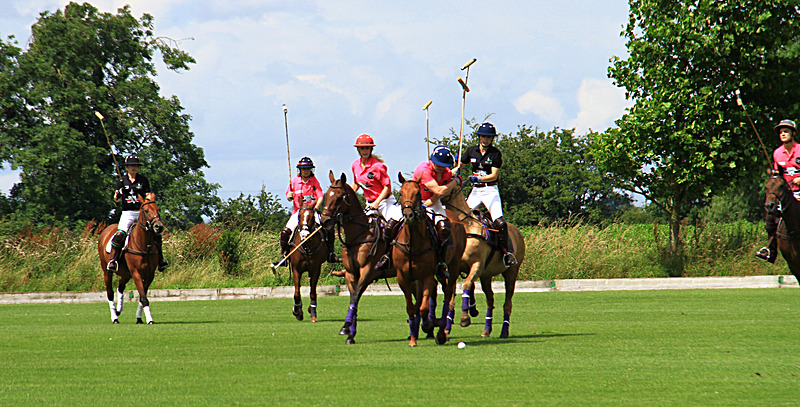 IMG_7631 - WHITE ROSE POLO CLUB LADIES DAY