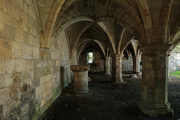 IMGL7827 - MUSEUM GARDENS