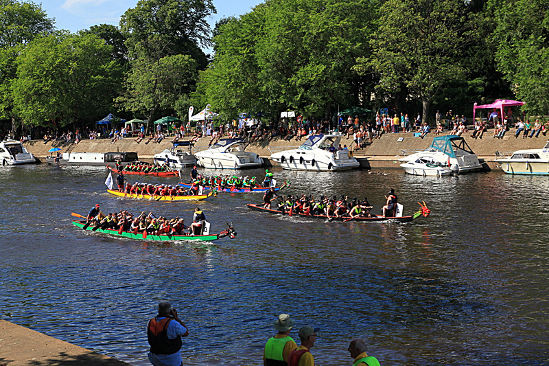 IMG_3614 - DRAGON BOAT RACE 2017