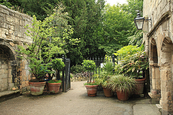 IMG_7552 - MUSEUM GARDENS