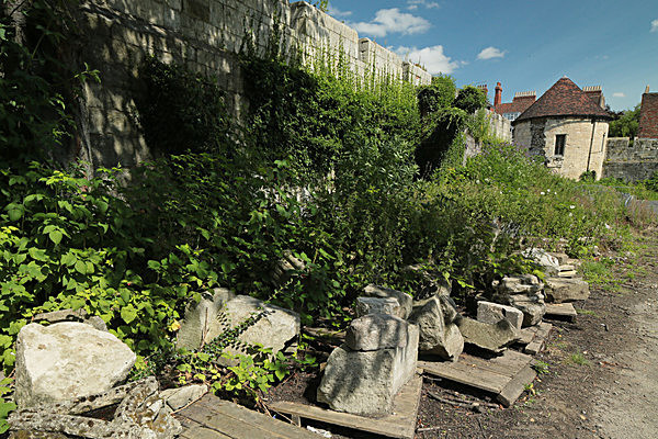 IMGL7906 - MUSEUM GARDENS