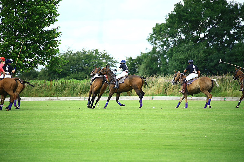 BV6R6820 - WHITE ROSE POLO CLUB LADIES DAY