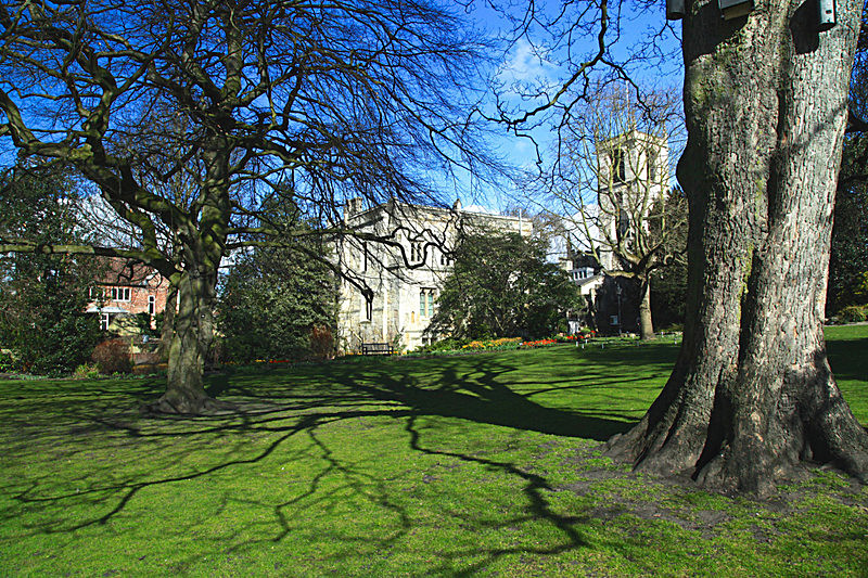 MARCH 2015 - FOUR SEASONS MUSEUM GARDENS