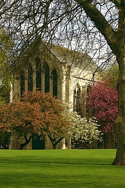 CS235 YORK MINSTER LIBRARY - YORK AGAINST CANCER ART EXHIBITION 23rd SEPT 2011