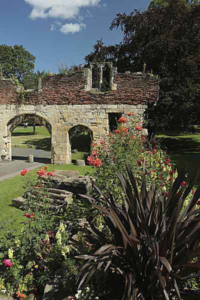 IMGL7858 - MUSEUM GARDENS
