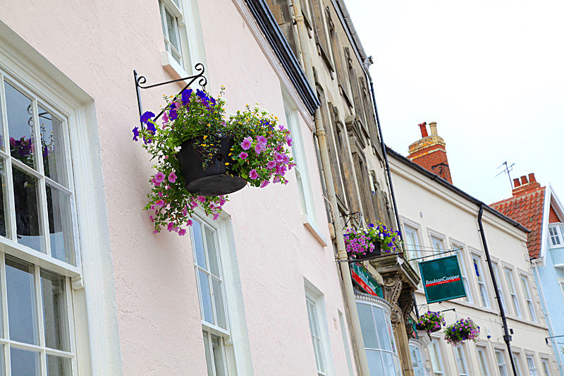 IMG_3374 - MALTON IN BLOOM 2017