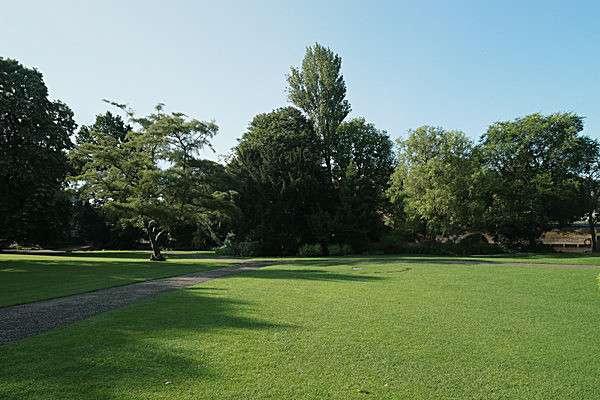 IMGL7644 - MUSEUM GARDENS