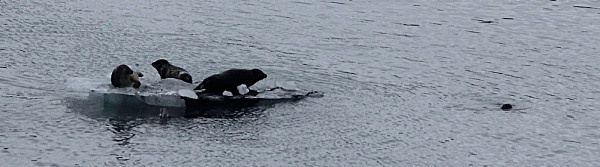  - ALASKA