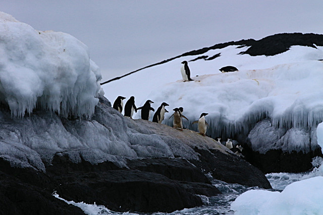  - ANTARCTICA NOV 2014