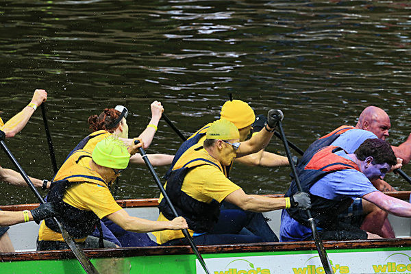 IMGL6643 - DRAGON BOAT RACE 2014 York Rotary Club