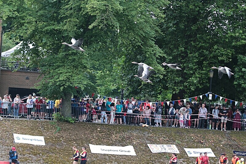A99U7611 - DRAGON BOAT RACE 2023
