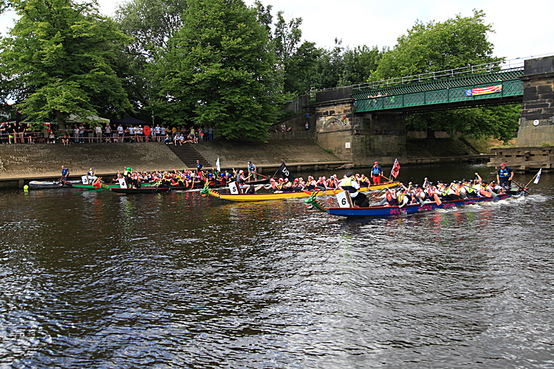 IMG_3526 - DRAGON BOAT RACE 2017