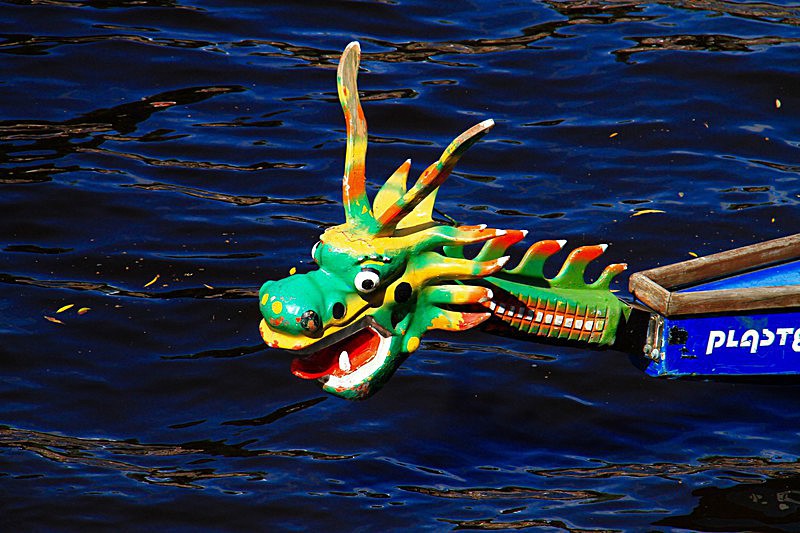 DRAGON BOAT RACE 10 July 2016 - 465 of 549 - DRAGON BOAT RACES 2016 York Rotary Club