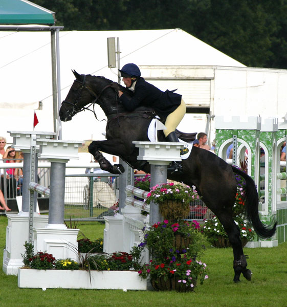 5  Show Jumping - ANIMALS
