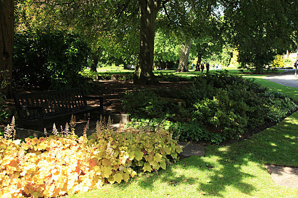 IMG_8191 - MUSEUM GARDENS