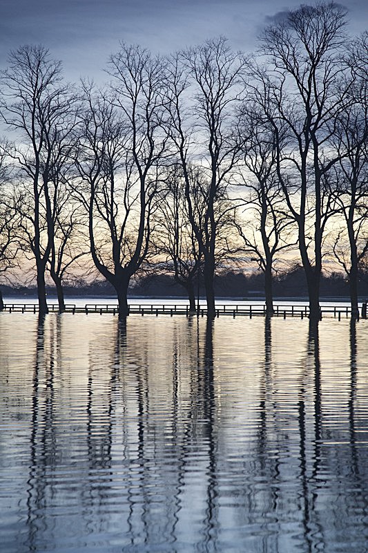 28 December 2015 CIVIC TRUST KNAVESMIRE IN FLOOD - 8 of 9 - KNAVESMIRE IN FLOOD   DECEMBER 2015