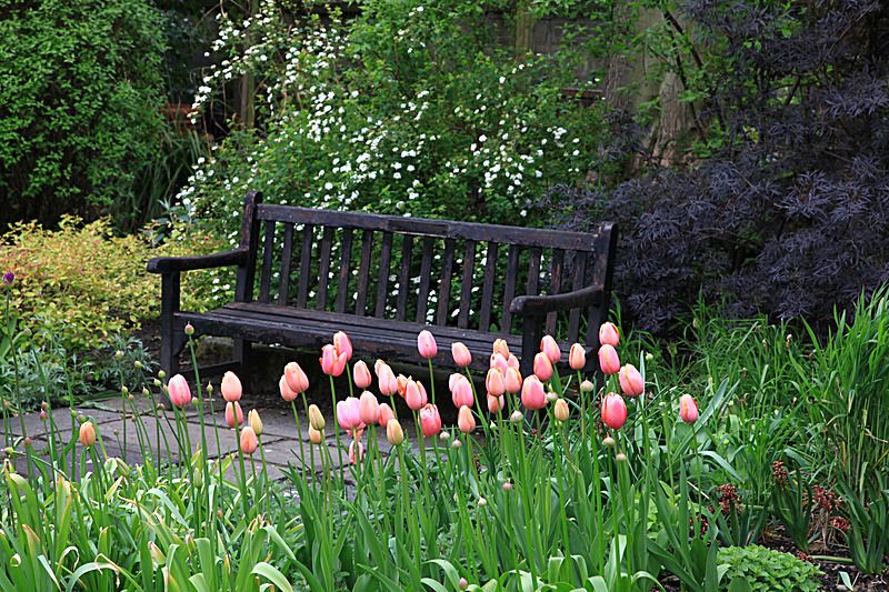 MAY 2015-2 - FOUR SEASONS MUSEUM GARDENS