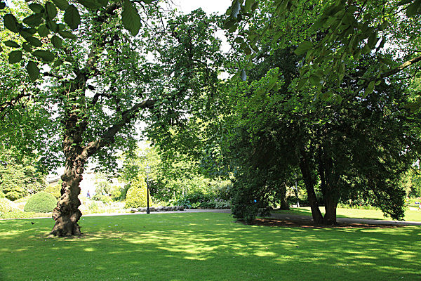 IMG_8216 - MUSEUM GARDENS