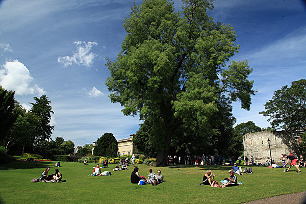 IMG_8116 - MUSEUM GARDENS