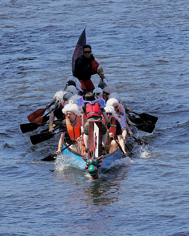 THE YORK ROTARY DRAGON BOAT CHALLENGE 2026 - 250 of 426 - DRAGON BOAT RACE 2026. York Rotary Club.