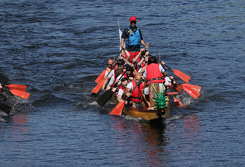 THE YORK ROTARY DRAGON BOAT CHALLENGE 2026 - 59 of 426 - DRAGON BOAT RACE 2026. York Rotary Club.