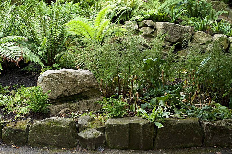JUNE 2014  -12 - FOUR SEASONS MUSEUM GARDENS