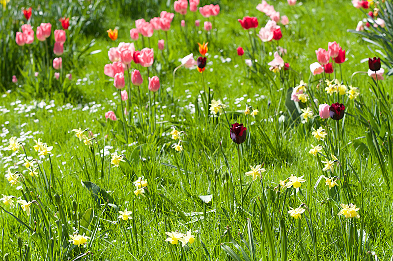 MAY 2015-21 - FOUR SEASONS MUSEUM GARDENS