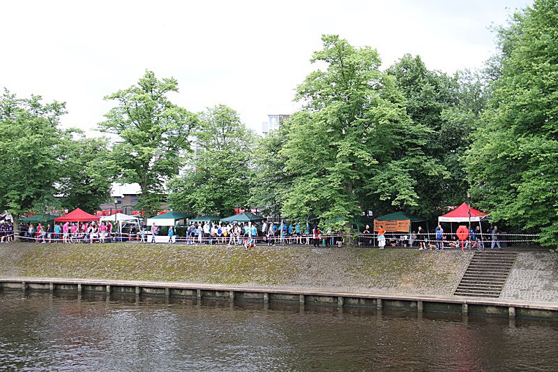 DRAGON BOAT RACE 10 July 2016 - 57 of 549 - DRAGON BOAT RACES 2016 York Rotary Club